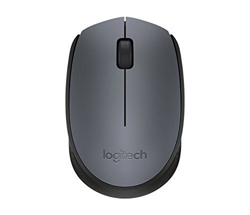 ���� ������ Logitech M171