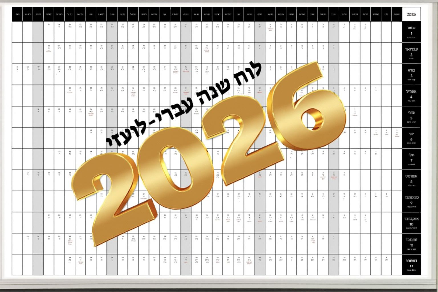 ��� ����� ���� ���� ����� ���� 2024 ���"�